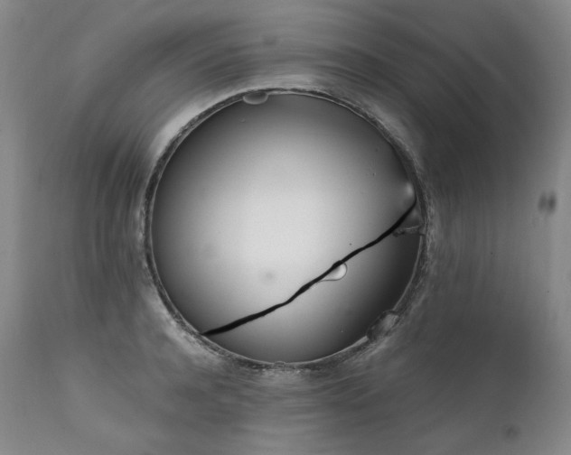 X0000111450944200907131326