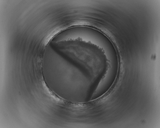 X0000111450945200907131326