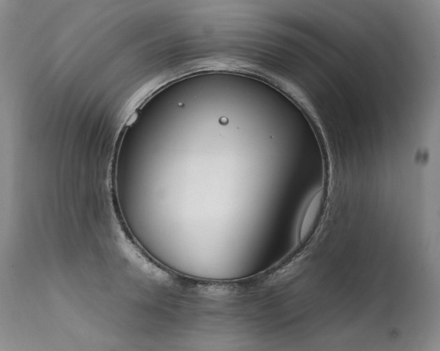 X0000111450946200907131326