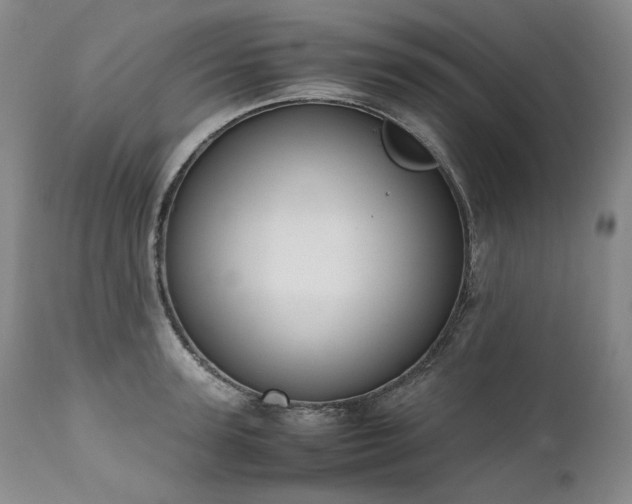 X0000111450947200907131326