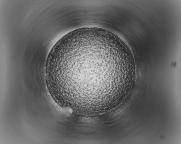 X0000111450951200907131326