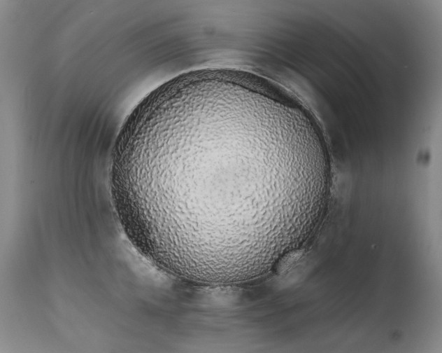 X0000111450952200907131326