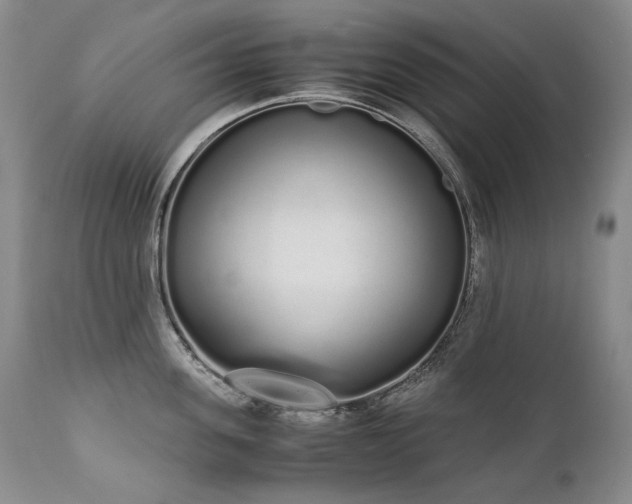 X0000111450955200907131326