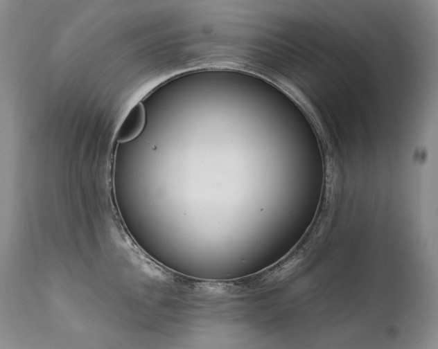X0000111450956200907131326