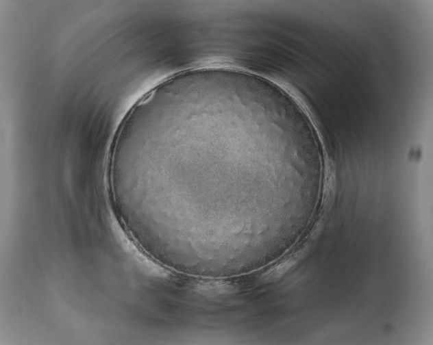 X0000111450957200907131326