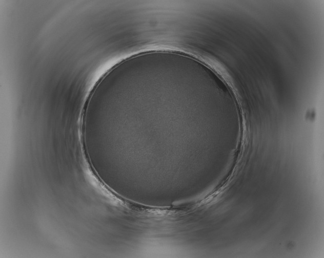 X0000111450958200907131326