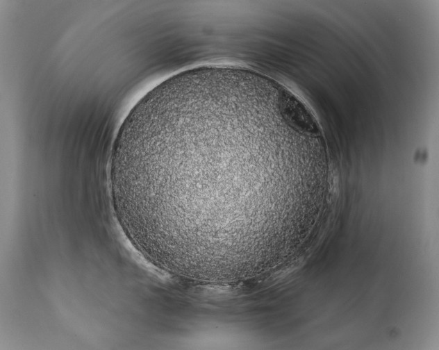 X0000111450959200907131326