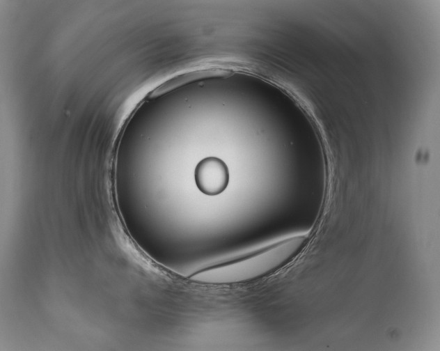 X0000111450960200907131326