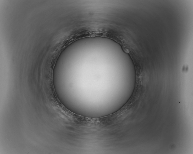 X0000111450961200907131325