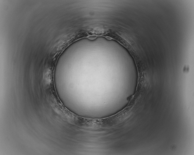 X0000111450962200907131325