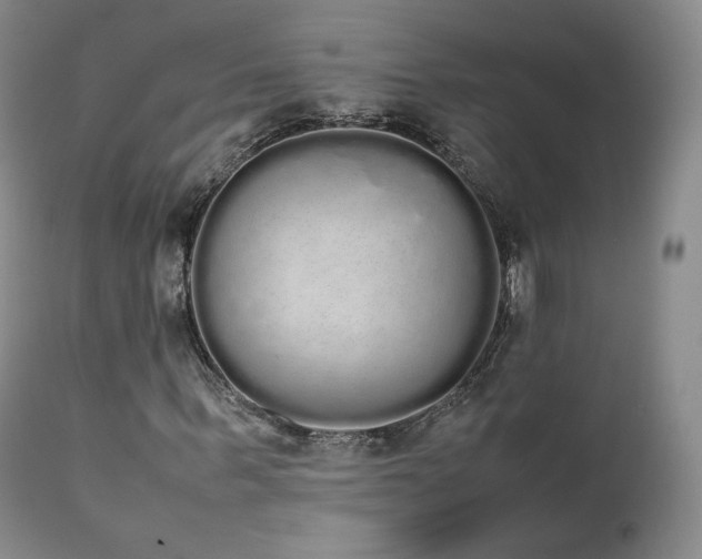 X0000111450963200907131325