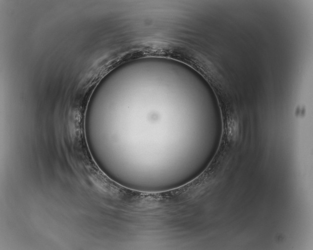 X0000111450964200907131325
