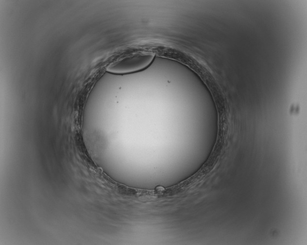 X0000111450965200907131325