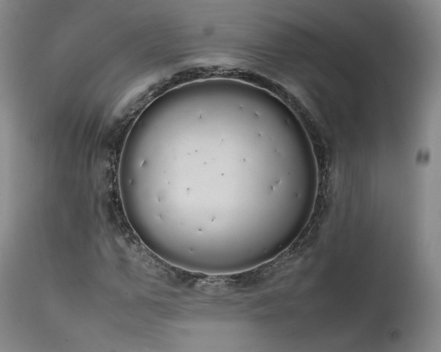 X0000111450967200907131325