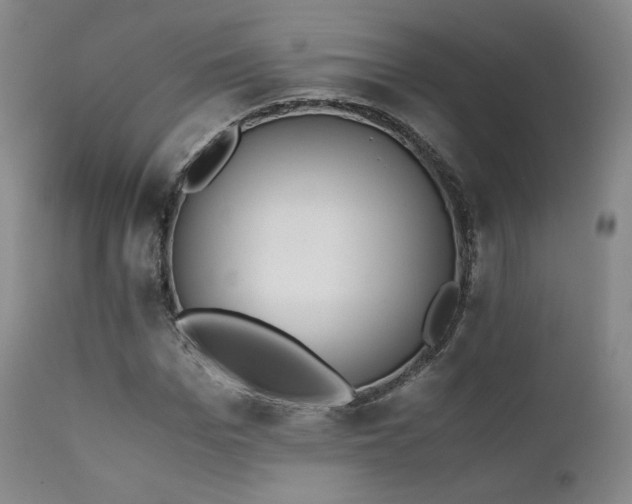 X0000111450969200907131325