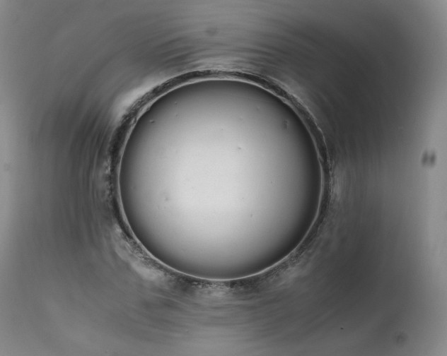 X0000111450971200907131325