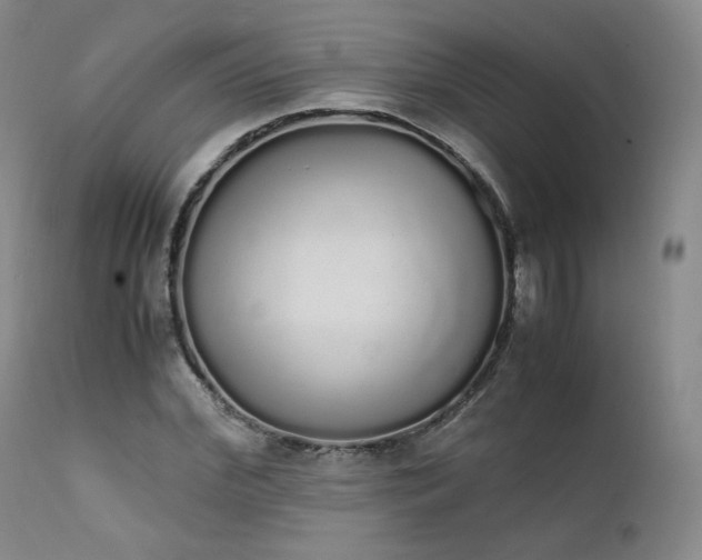 X0000111450972200907131325