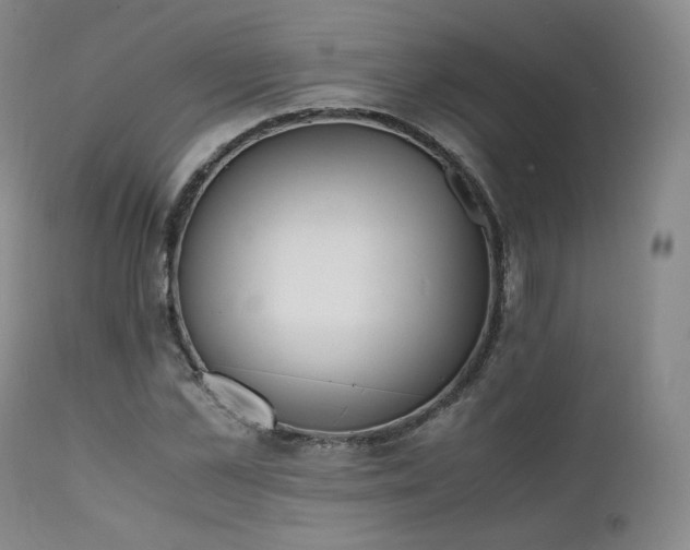 X0000111450973200907131325