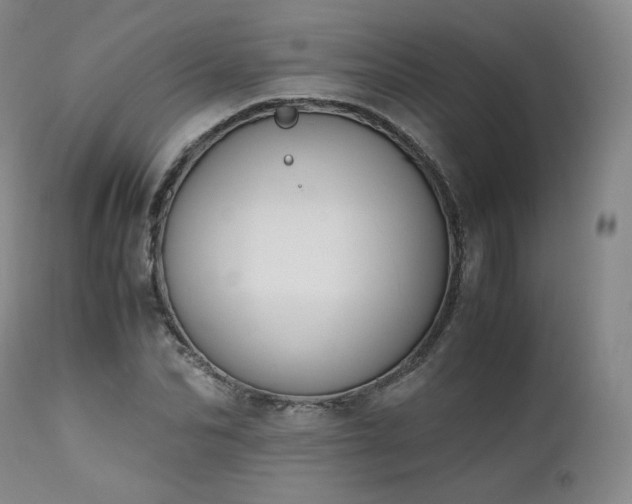 X0000111450974200907131325