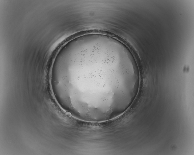 X0000111450975200907131325