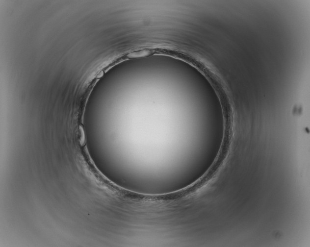 X0000111450977200907131325