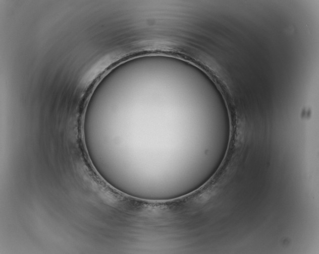 X0000111450978200907131325