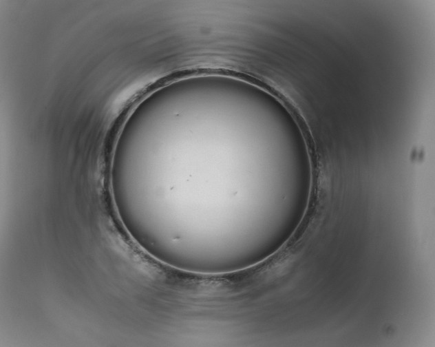 X0000111450979200907131325