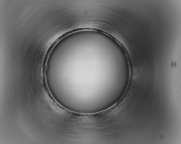 X0000111450980200907131325