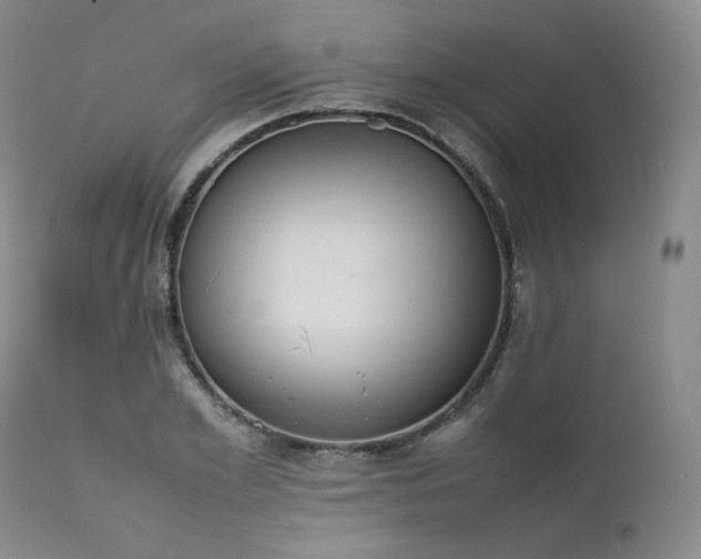 X0000111450981200907131325