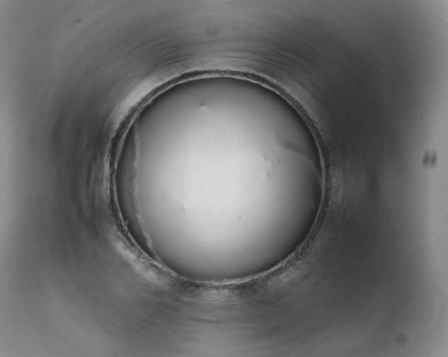 X0000111450982200907131325