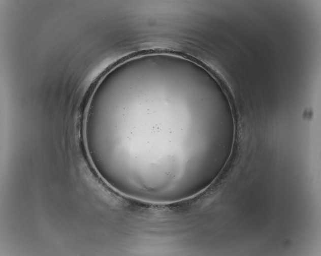 X0000111450983200907131325