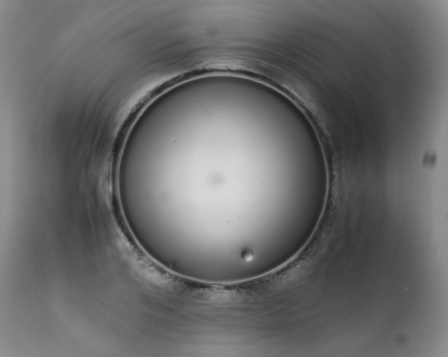 X0000111450984200907131325