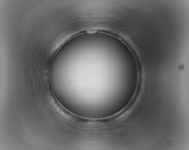 X0000111450985200907131325