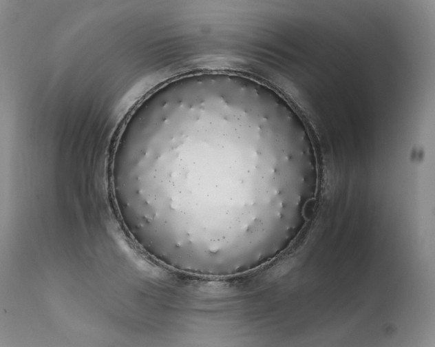 X0000111450986200907131325