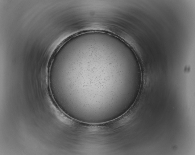 X0000111450988200907131325