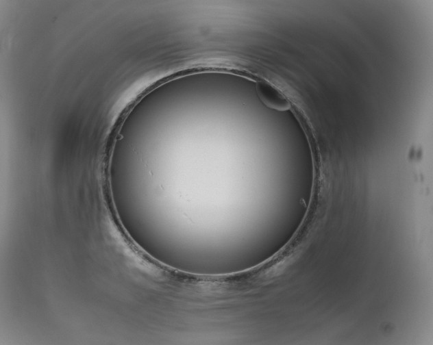 X0000111450989200907131325