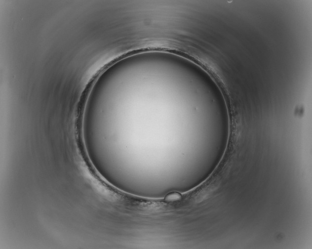 X0000111450991200907131325