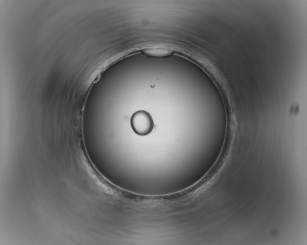 X0000111450993200907131325