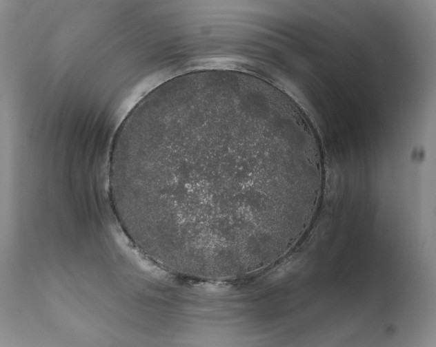 X0000111450994200907131325