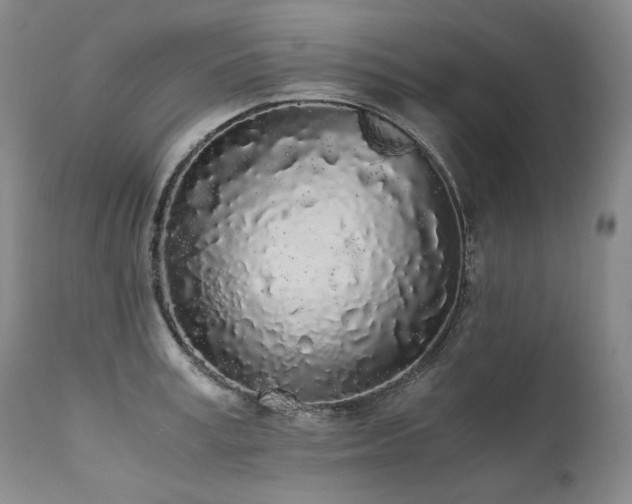 X0000111450995200907131325
