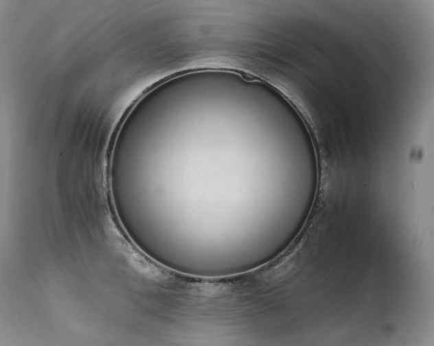 X0000111450996200907131325