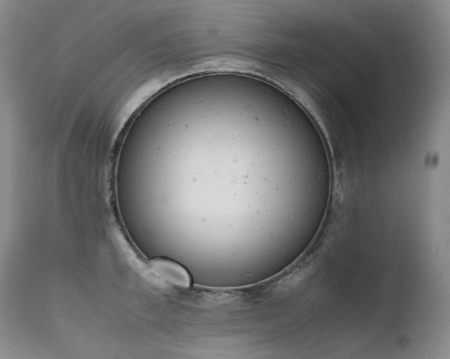X0000111450997200907131325