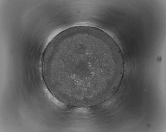 X0000111450998200907131325