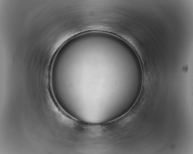 X0000111450999200907131325