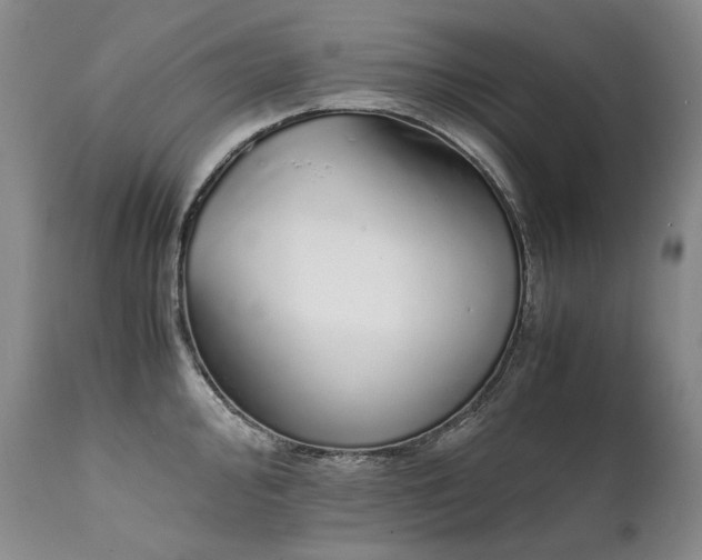 X0000111451000200907131325