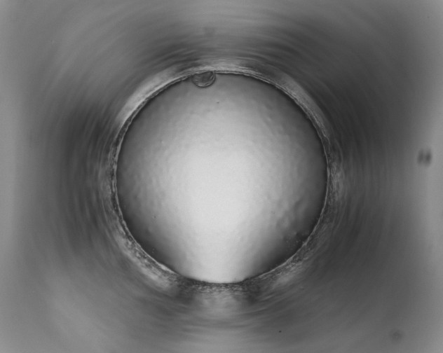 X0000111451002200907131325