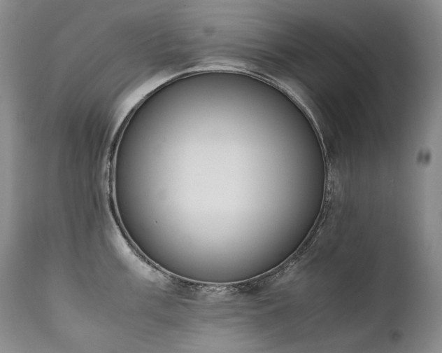 X0000111451003200907131325