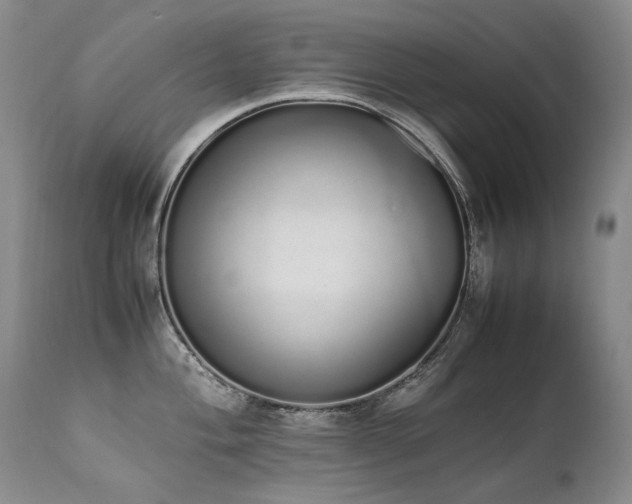 X0000111451004200907131325