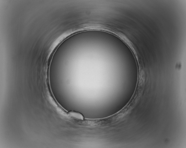 X0000111451005200907131325