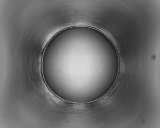 X0000111451006200907131325